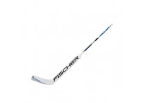 Вратарская клюшка Fischer GW250 Yth