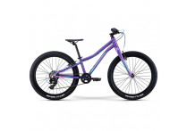 Велосипед Merida Matts J24+ DarkPurple/PalePink/Teal 2021 Велосипед Merida Matts J24+ DarkPurple/PalePink/Teal 2021